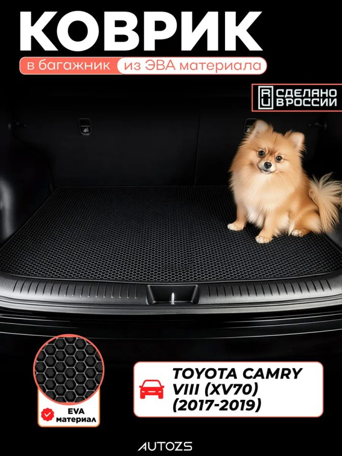 ЭКБ Toyota Camry VIII (XV70) (2017-2019) базовый эва + лекало