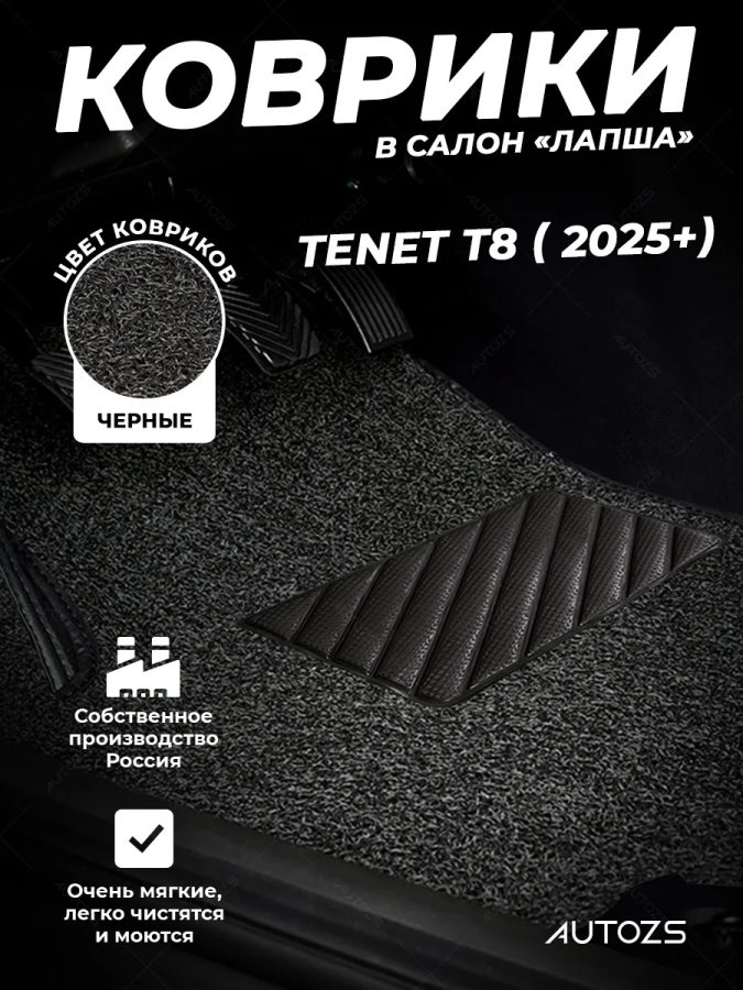 Коврики в салон ворсовые лапша для Tenet T8 (2025+) 2-х рядный