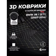 Кожаные 3D коврики с ворсом для BMW X6 I (E71) (2007-2012)