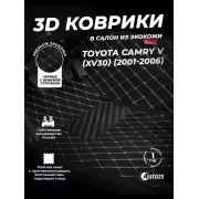 Кожаные 3D коврики с ворсом для Toyota Camry V (XV30) (2001-2006)
