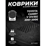 Коврики в салон ворсовые лапша для Toyota Camry V (XV30) (2001-2006)