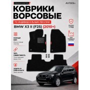 Ворсовые коврики для BMW X3 II (F25) 2010+