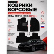 Ворсовые коврики для BMW 5er VII (G30) 2016+