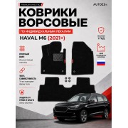 Ворсовые коврики для Haval M6 (2021+)