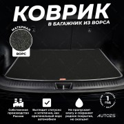 Ворсовый коврик в багажник Moskvitch 3 /Jac JS4