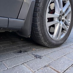 Фото покупателя: Брызговики для Honda Accord 8 2008-2013 седан