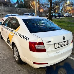 Фото покупателя: Брызговики для Skoda Octavia A7 2012+