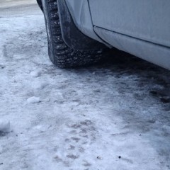 Фото покупателя: Брызговики для Ford Mondeo 4 2006-2010
