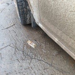 Фото покупателя: Брызговики для Skoda Octavia A7 2012+
