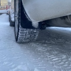 Фото покупателя: Брызговики для Skoda Octavia A7 2012+