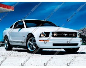 Ангельские глазки на Ford Mustang 2004-2008