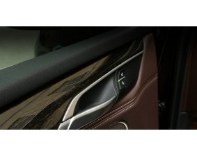 Декоративные накладки для панели дверей BMW X6 2014+